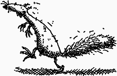 Семейка монстров - _219.png