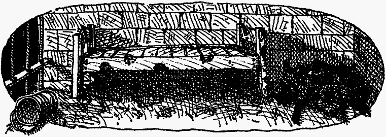 Семейка монстров - _260.png