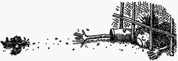 Семейка монстров - _261.png