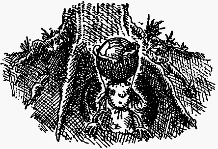 Семейка монстров - _278.png