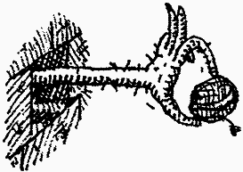 Семейка монстров - _297.png