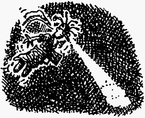 Семейка монстров - _330.png