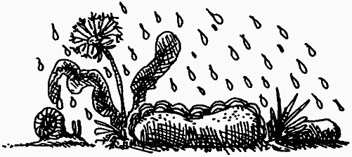 Семейка монстров - _398.png