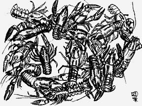 Мої Дікамерони - _52.png