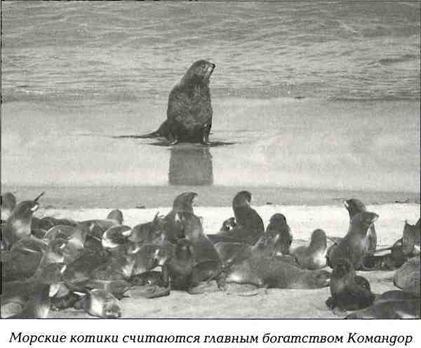 Русская Америка - i_054.jpg