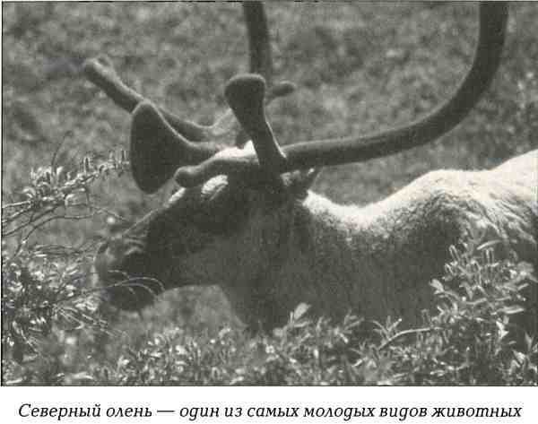 Русская Америка - i_055.jpg