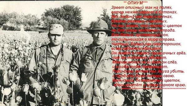 Малыш и Странник (СИ) - i_021.jpg