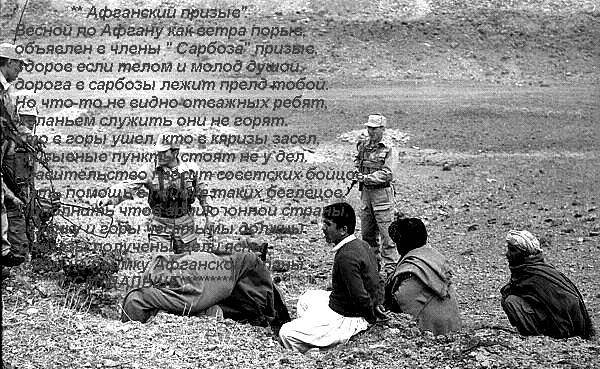 Малыш и Странник (СИ) - i_048.jpg