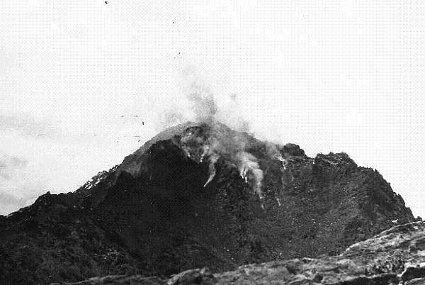 Малыш и Странник (СИ) - i_060.jpg