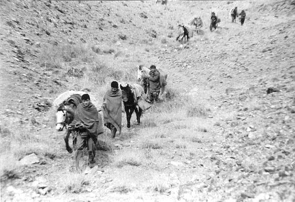 Малыш и Странник (СИ) - i_062.jpg