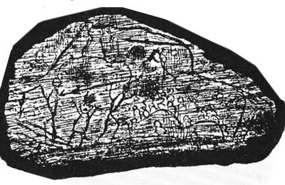 365 лучших сказок мира - i_001.jpg