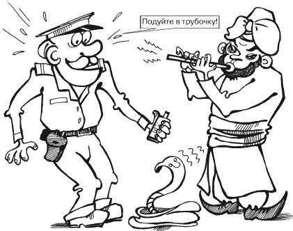 Если вас остановил инспектор. Ваши права – 2010 - i_014.jpg