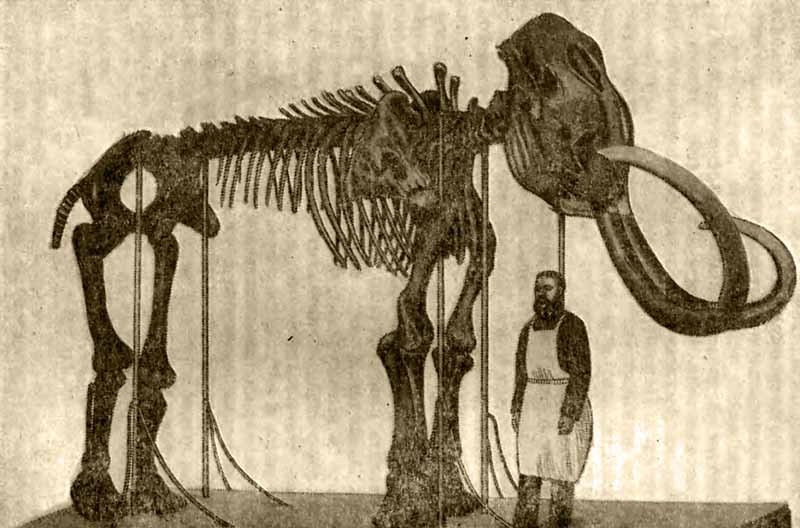 В погоне за тайной века - i_025.jpg