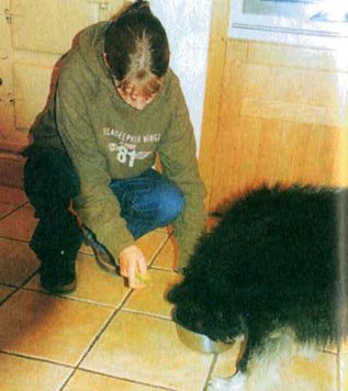 Дрессировка собак с помощью кликера - pic_36.jpg