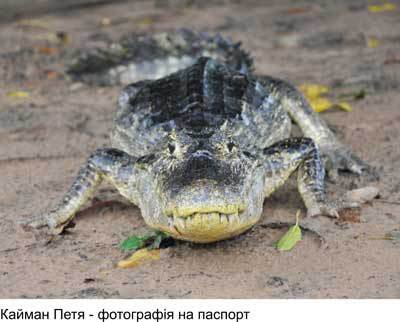 Любов і піраньї - _07.jpg