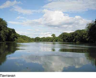 Любов і піраньї - _13.jpg