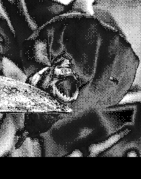 Любов і піраньї - pic_9.png