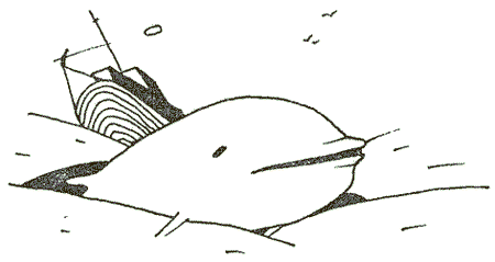 Несущие ветер - i_007.png