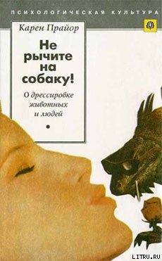 Книга Несущие ветер