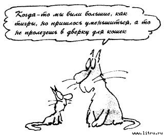 Кот без дураков - pic05.jpg