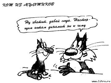 Кот без дураков - pic11.jpg