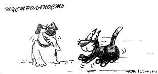 Кот без дураков - pic16.jpg