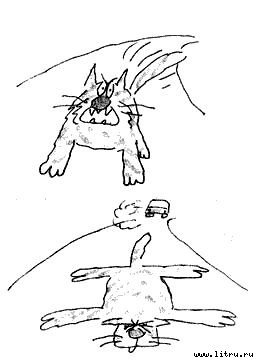 Кот без дураков - pic17.jpg