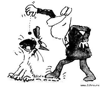 Кот без дураков - pic18.jpg