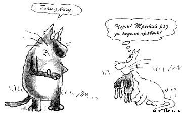 Кот без дураков - pic21.jpg
