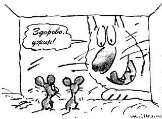 Кот без дураков - pic28.jpg