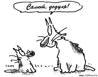 Кот без дураков - pic34.jpg