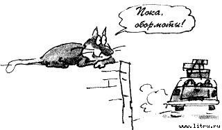 Кот без дураков - pic40.jpg