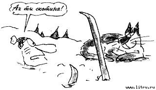 Кот без дураков - pic48.jpg