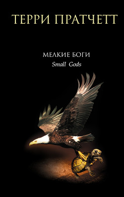 Серия книг Плоский мир