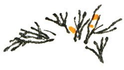 Кто бы мог подумать? - i_094.jpg