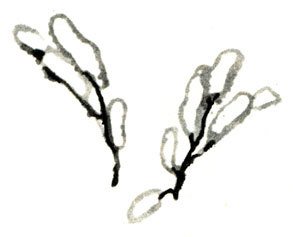 Кто бы мог подумать? - i_096.jpg