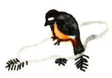 Кто бы мог подумать? - i_098.jpg