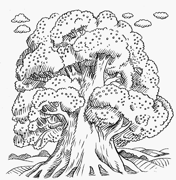 Долина единорогов - _040.png