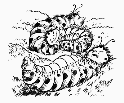 Долина единорогов - _087.png