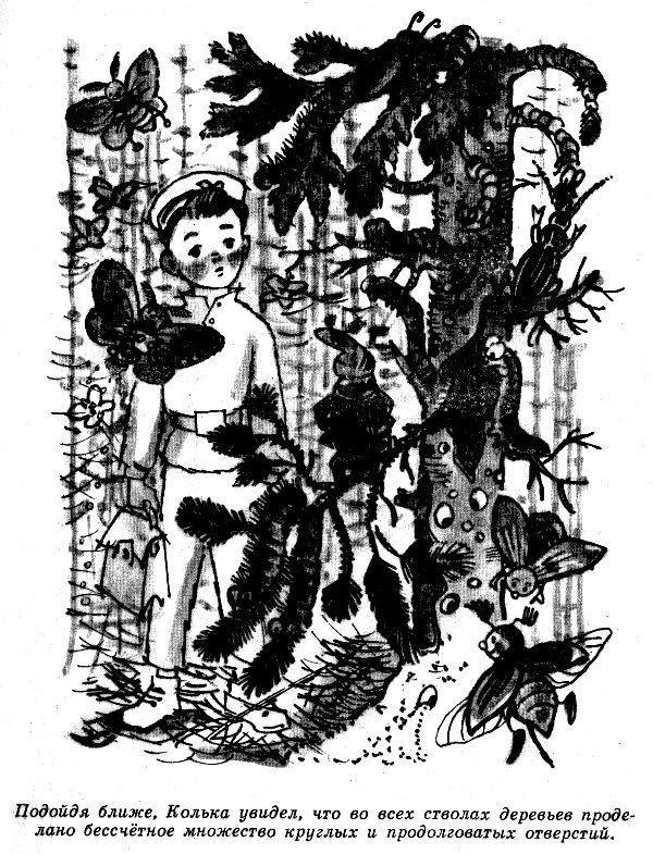 Приключения Кольки Кочерыжкина - pic_9.jpg