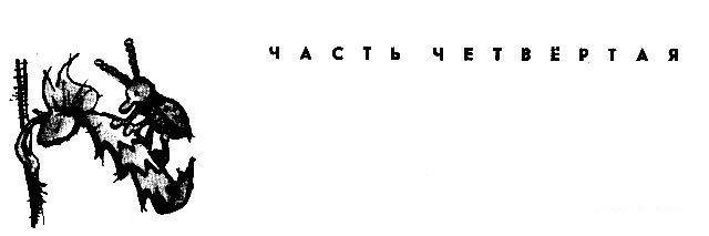 Приключения Кольки Кочерыжкина - pic_26.jpg