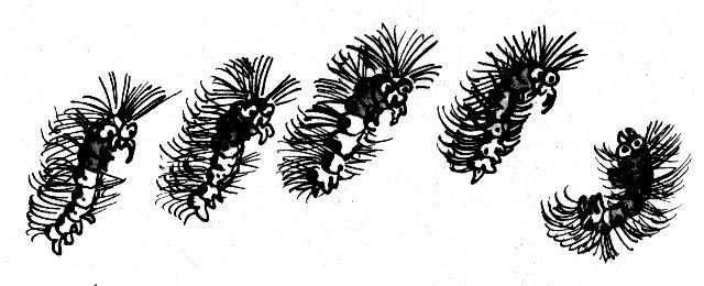 Приключения Кольки Кочерыжкина - pic_27.jpg