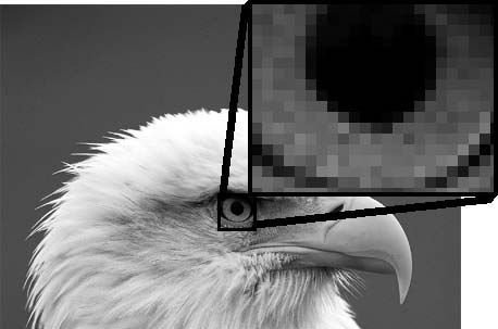 CorelDRAW X4. Начали! - _01.jpg
