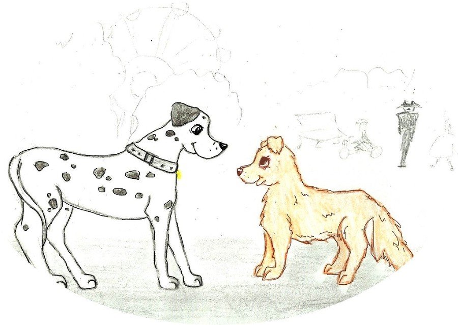 Джули. Её мечты и приключения - images_5386f69237eca2b43c8b459e_jpg.jpeg