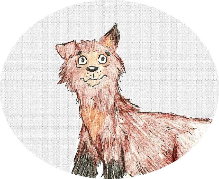 Джули. Её мечты и приключения - images_5386f6d837eca27e268b4596_jpg.jpeg