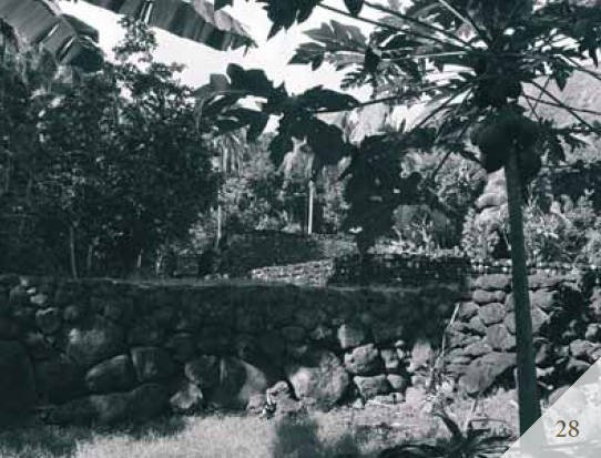 Доказательства существования богов. Более 200 сенсационных фотографий артефактов - i_029.jpg