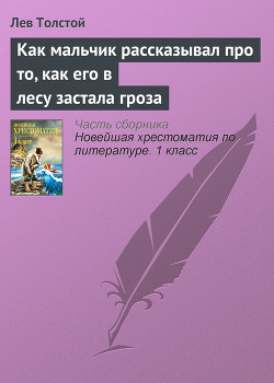 Книга Как мальчик рассказывал про то, как его в лесу застала гроза