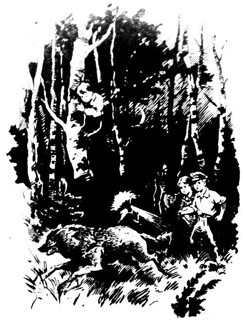 За волшебным цветком - pic_12.jpg