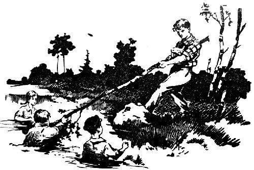 За волшебным цветком - pic_16.jpg