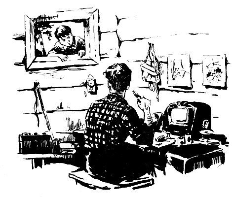 За волшебным цветком - pic_7.jpg